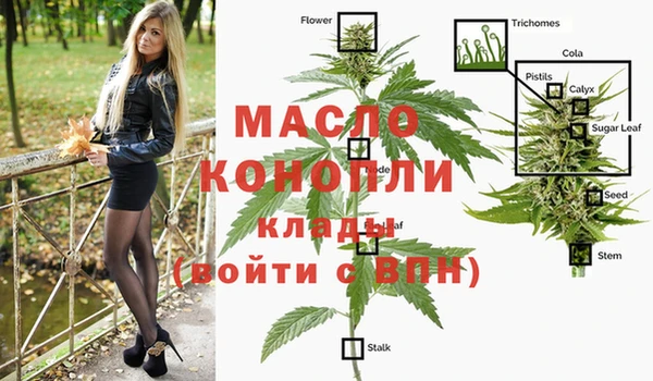 амф Бронницы
