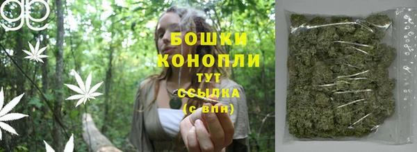 амф Бронницы